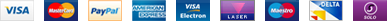 Logo Payment
